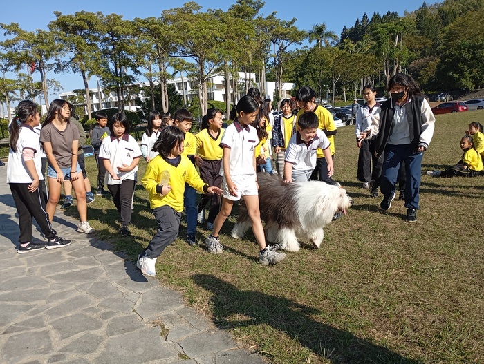 114-01-14全校健行圖片